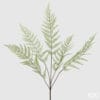 Felce decorativa con foglie verdi dettagliate, ideale per composizioni floreali eleganti e naturali.