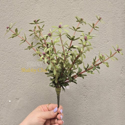 Ramo verde decorativo con foglie e bacche bianche, ideale per composizioni floreali e decorazioni naturali.