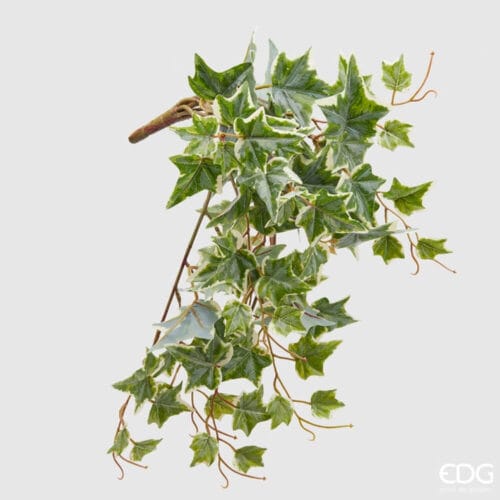 Ramo di edera variegata con foglie verdi e crema, dettagli realistici e steli naturali, ideale per decorazioni d'interni.