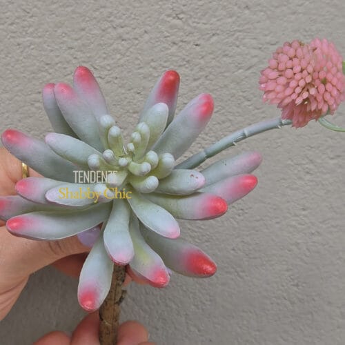 EDG Branche de Sedum à Fleur Rose H 23 – Image 2