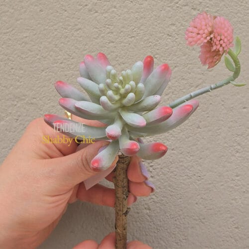Ramo decorativo con foglie carnose verdi e rosa, completato da un fiore rosa delicato su stelo naturale.