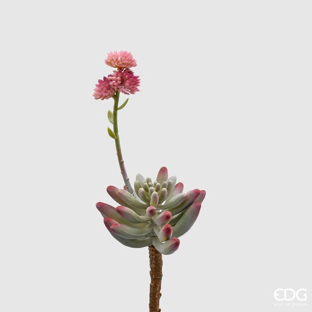 Ramo decorativo con foglie carnose verdi e rosa, completato da un fiore rosa delicato su stelo naturale.