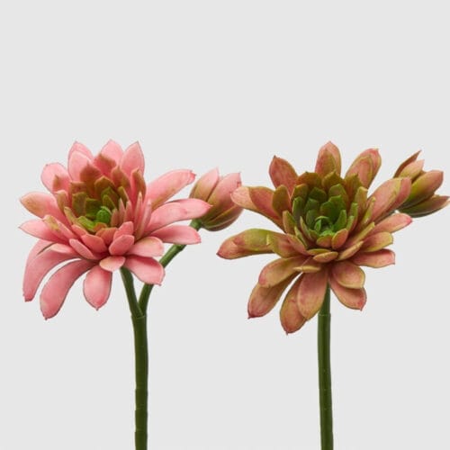Succulenta EDG con fiore decorativo, disponibile in due colori, rosa intenso e verde naturale, con dettagli realistici su una struttura alta 55 cm.