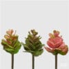 piante succulente artificiali EDG con foglie realistiche in tonalità verde e rosa su steli dettagliati, altezza 20 cm.