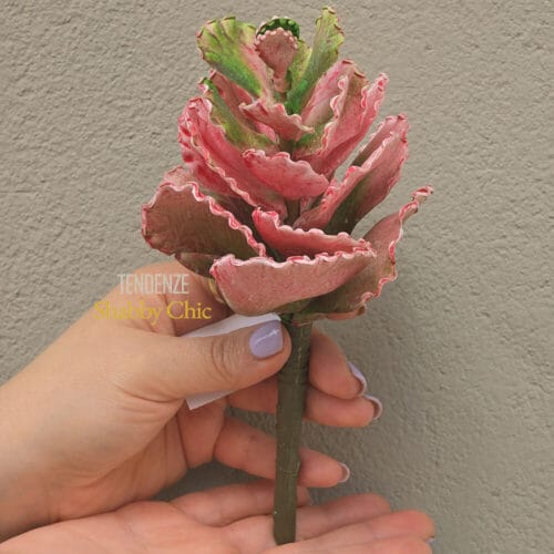 EDG Pianta Succulenta Olis (3 colori) H20 cm - Rosa