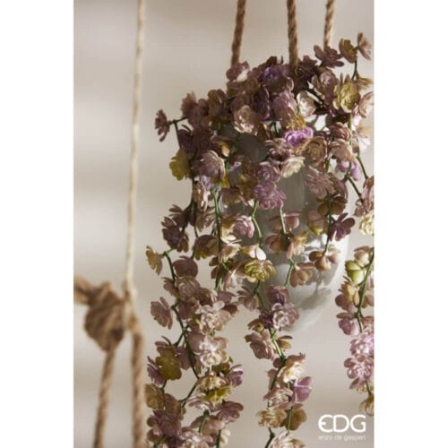 Alternative view of EDG Echeveria cadente rosa H 44 cm