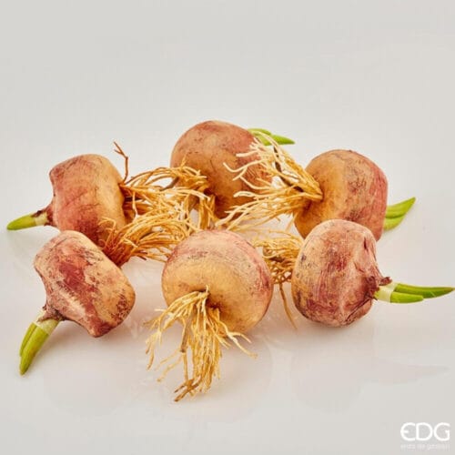 Bulbi decorativi artificiali EDG con radici e germogli realistici, confezione da 6 pezzi, altezza 12 cm.