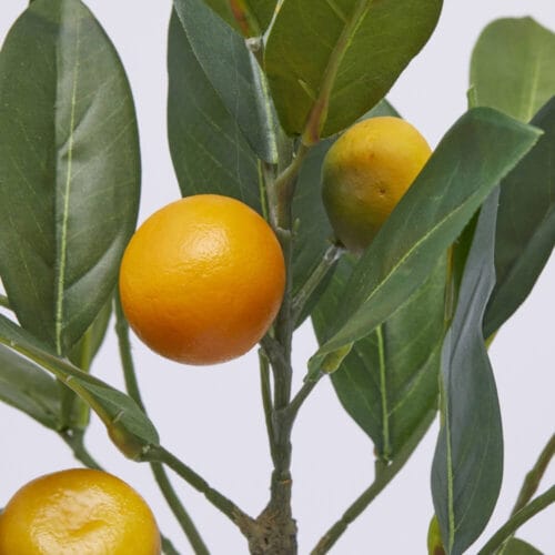 Alternative view of Plante mandarine décorative EDG avec vase H48 cm