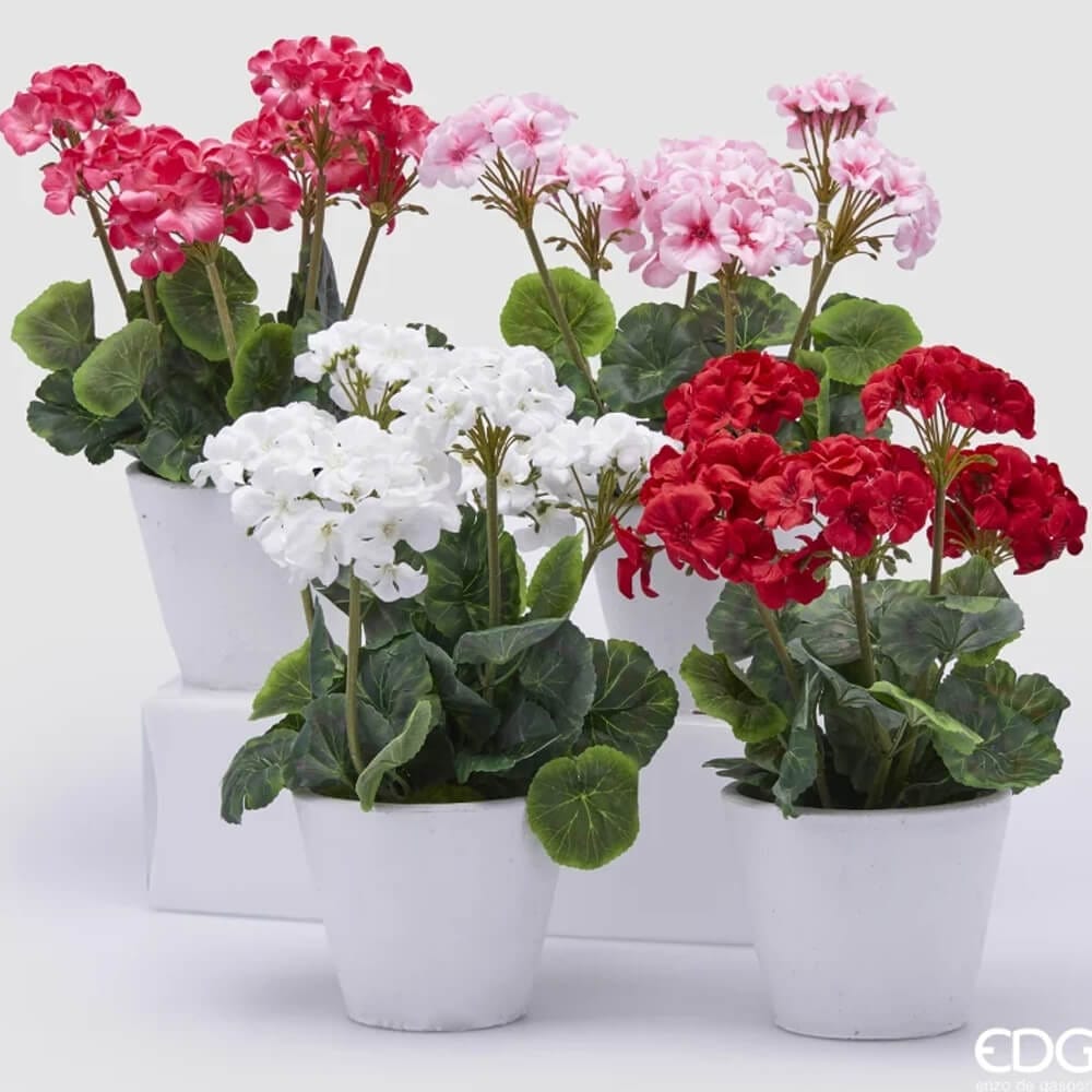 Geranio artificiale in vaso bianco, disponibile in quattro colorazioni: rosso, bianco, rosa e rosa antico. Altezza 35 cm.