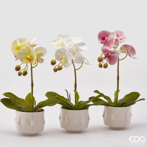 Orchidea artificiale in vaso di ceramica con decorazione a volto, disponibile nei colori bianco, giallo e rosa.
