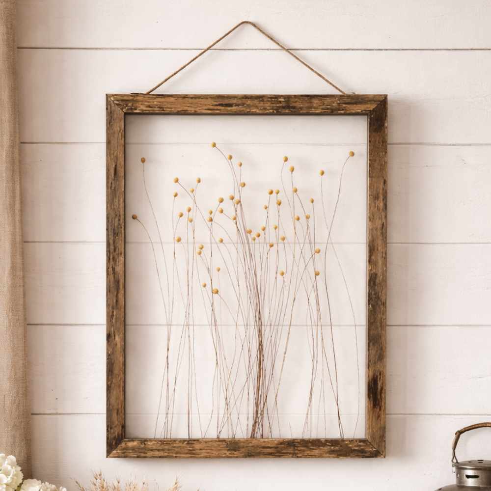 Blanc MariClò Quadro con Fiori Secchi 35x25 cm 1 Quadro con cornice in legno scuro e fiori secchi incorniciati su sfondo trasparente.