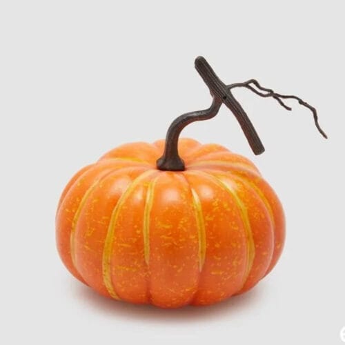 Zucca decorativa arancione con venature gialle e picciolo scuro ramificato, firmata EDG.