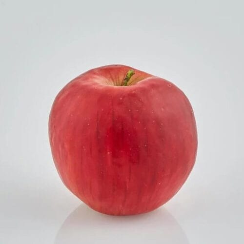 Mela decorativa EDG rossa con effetto satinato e gambo verde, realistica e con peso interno.