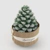 Candela verde a forma di pigna innevata, confezionata con supporto in cartone e nastro decorativo.