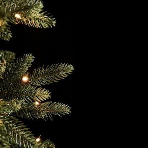 EDG Pino Delgado H240 Iluminado con 610 MiniLEDs 9 684146700 4