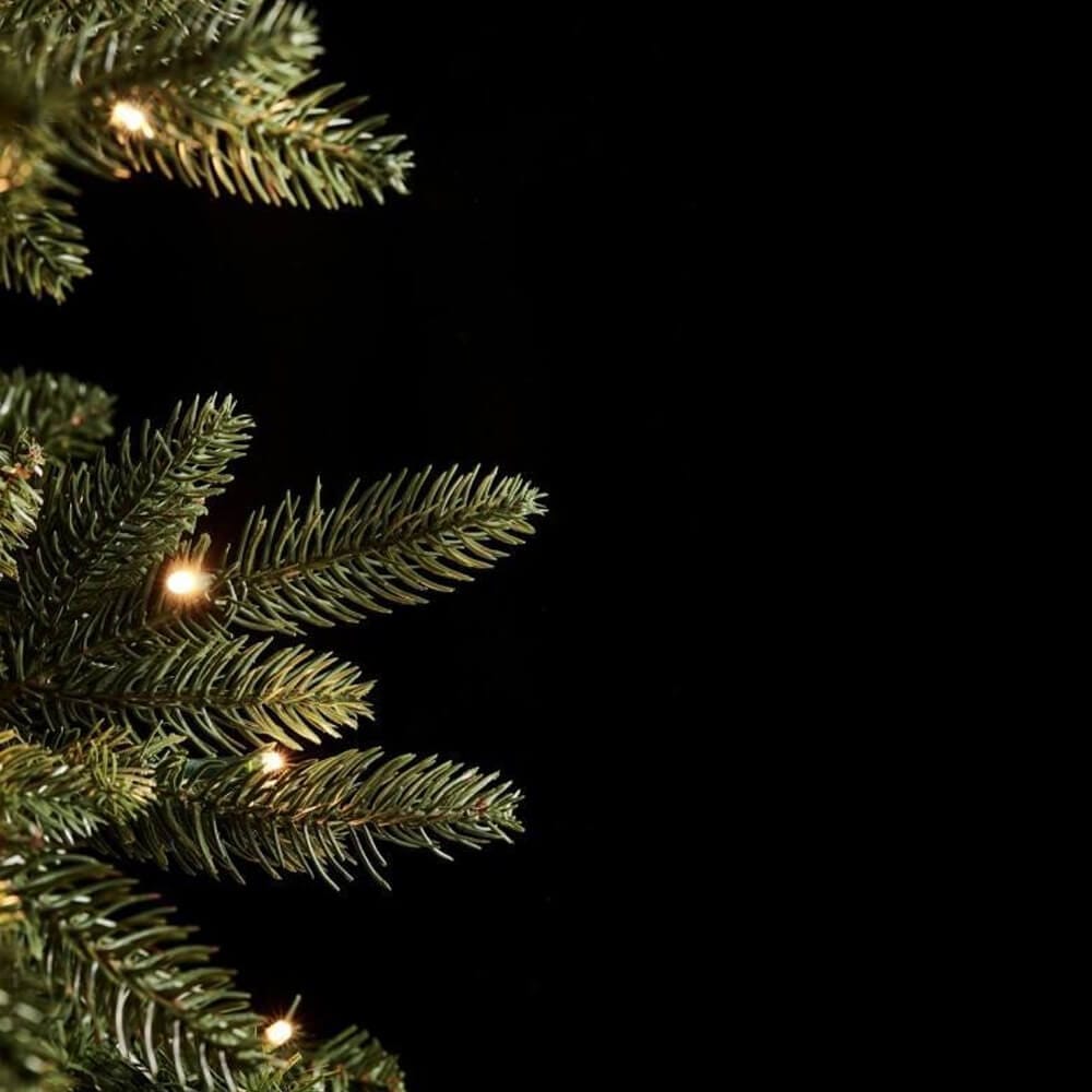 EDG Pino Delgado H240 Iluminado con 610 MiniLEDs 5 EDG Pino Delgado H240 Iluminado con 610 MiniLEDs - Imagen 5