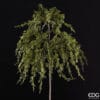Ramo decorativo artificiale EDG Thuja cadente, in plastica real touch con bacche verdi e dettagli naturali.