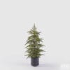 EDG Albero Cryptomeria con Vaso Real Touch H 79 cm