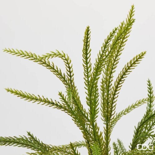 Alternative view of EDG Ramo Cryptomeria Real Touch H 71 cm