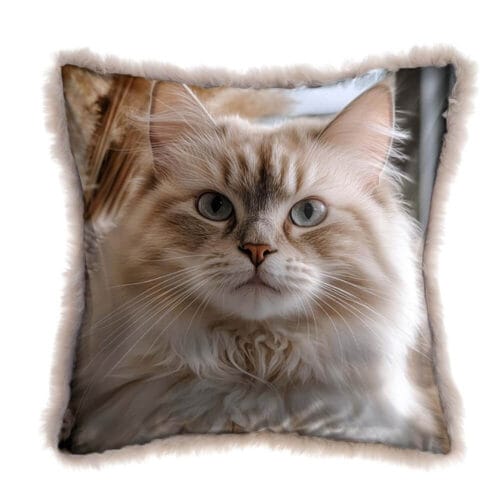 Alternative view of Blanc Mariclò Cuscino Gatto 45x45 Amici Animali