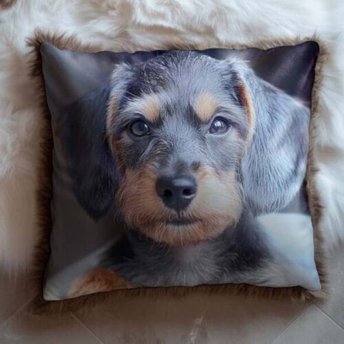 Cuscino quadrato con stampa di un cucciolo e bordo in eco pelliccia marrone.