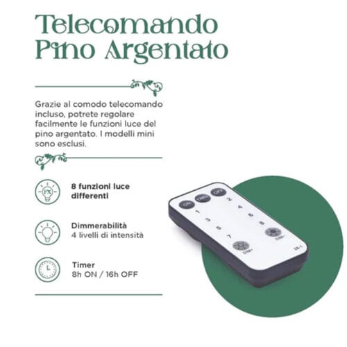 pino argentato 2