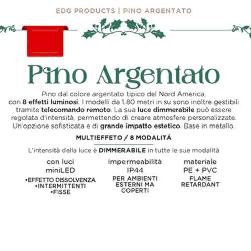 pino argentato