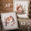 Set di 6 spugnette ecologiche in cellulosa con decorazioni Bosco Incantato: 3 con pettirossi su ramo e 3 con scoiattoli tra aghi di pino e bacche.