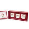 Cofanetto regalo con tre candele profumate in vetro decorate con fiocco rosso, cuore azzurro e rami di abete, confezionate in scatola illustrata natalizia.