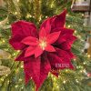 EDG Poinsettia en velours Ø23 cm avec lumière et pince