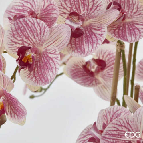 Alternative view of EDG Orchidea 6 Rami H64 con Vaso Bianco