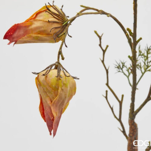 Alternative view of EDG Alchechengi Ramo Arancio-Giallo H70 cm