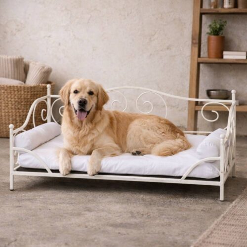 Caseta para perros de metal blanco con respaldo en forma de corazón y cojín tapizado blanco, de elegante estilo Shabby Chic.