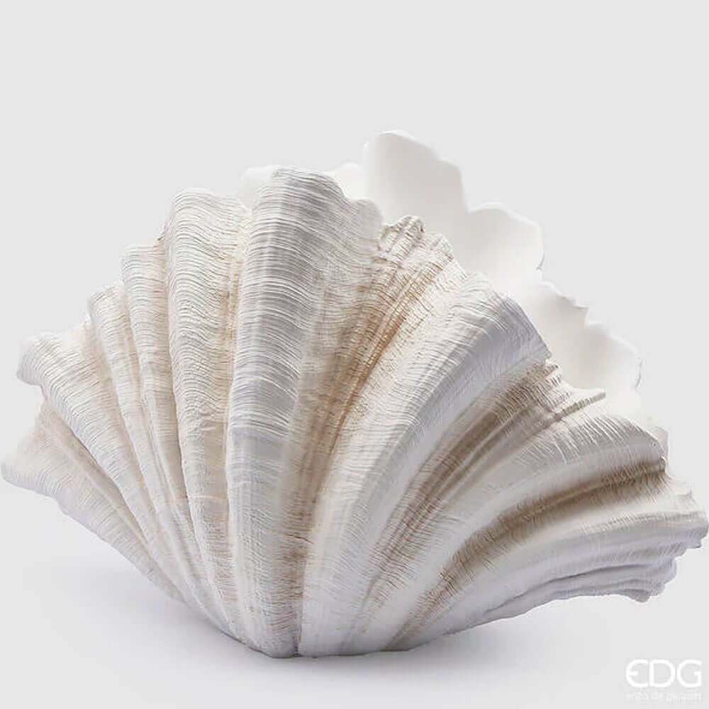 EDG Vase Shell H36 L57 P31 Collection Mer 1 Vase décoratif en forme de coquillage en polyrésine blanche avec une texture texturée et une finition sablée.