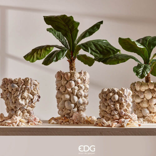 Alternative view of EDG Vaso Freaky Conchiglie Bombato H24,5 x D24