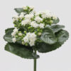 Cespuglio artificiale di kalanchoe bianco EDG con fiori e foglie verdi, altezza 23 cm