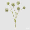 Branche artificielle de scabiosa EDG blanc avec six fleurs et tige verte, hauteur 66 cm