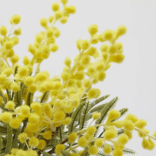 Alternative view of EDG Mazzo di Mimosa 3 Rami H 39 cm