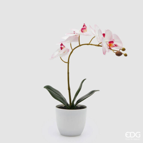 Alternative view of EDG Orchidea con Foglie in Vaso H40 cm