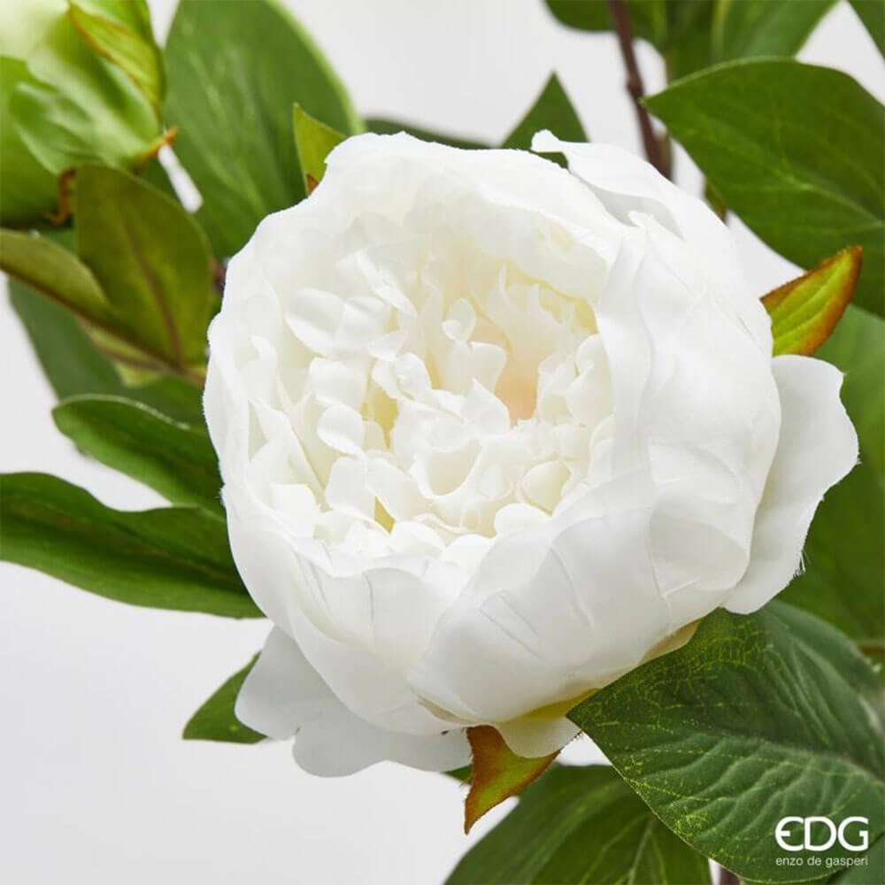 EDG Cespuglio Peonia Avorio x8 Fiori H53 cm - immagine 3