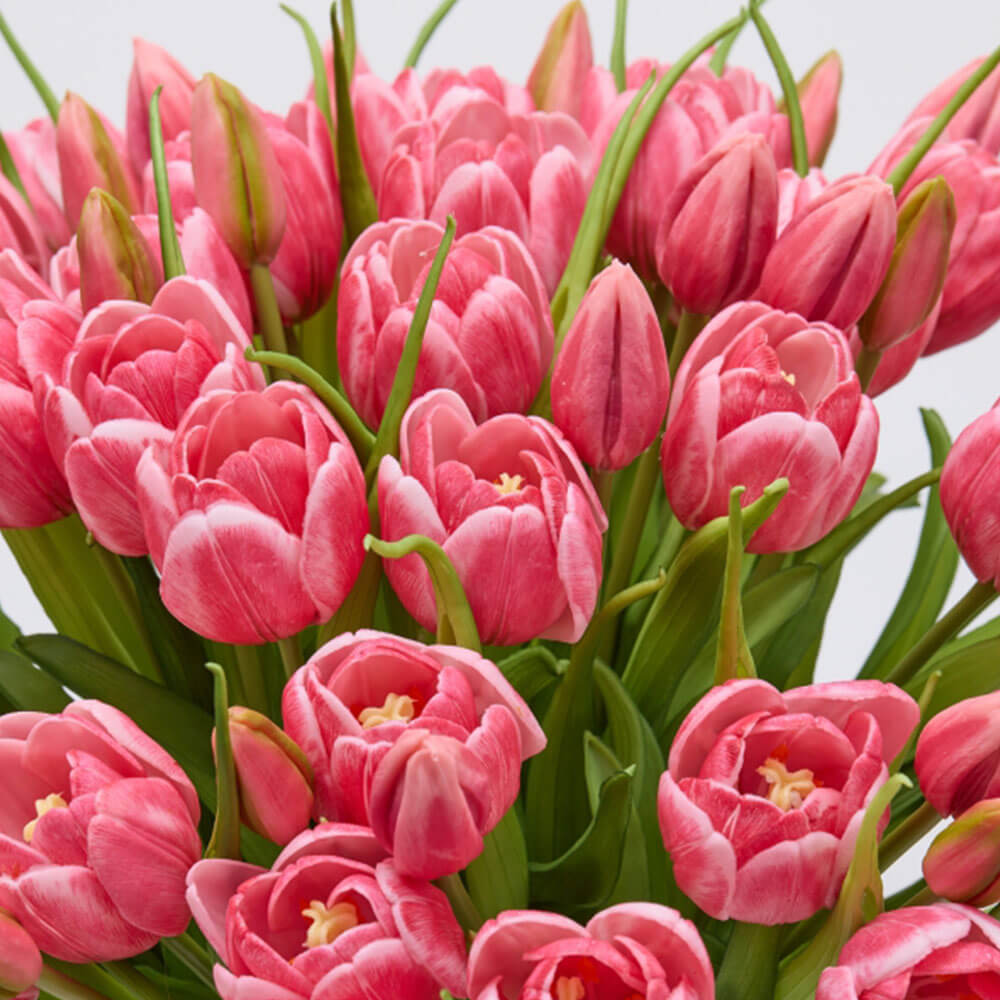 EDG Bouquet 4 Tulipes Mauve Real Touch H 40 2 EDG Bouquet 4 Tulipes Mauve Real Touch H 40 – Image 2