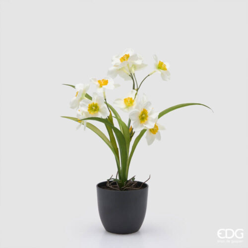 EDG Planta narciso x12 con jarrón H 34 cm 7 2100599A100 1