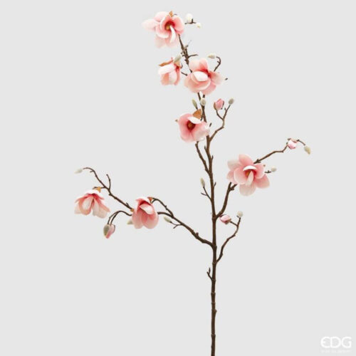 Alternative view of EDG Ramo Magnolia Rosa H 120 cm