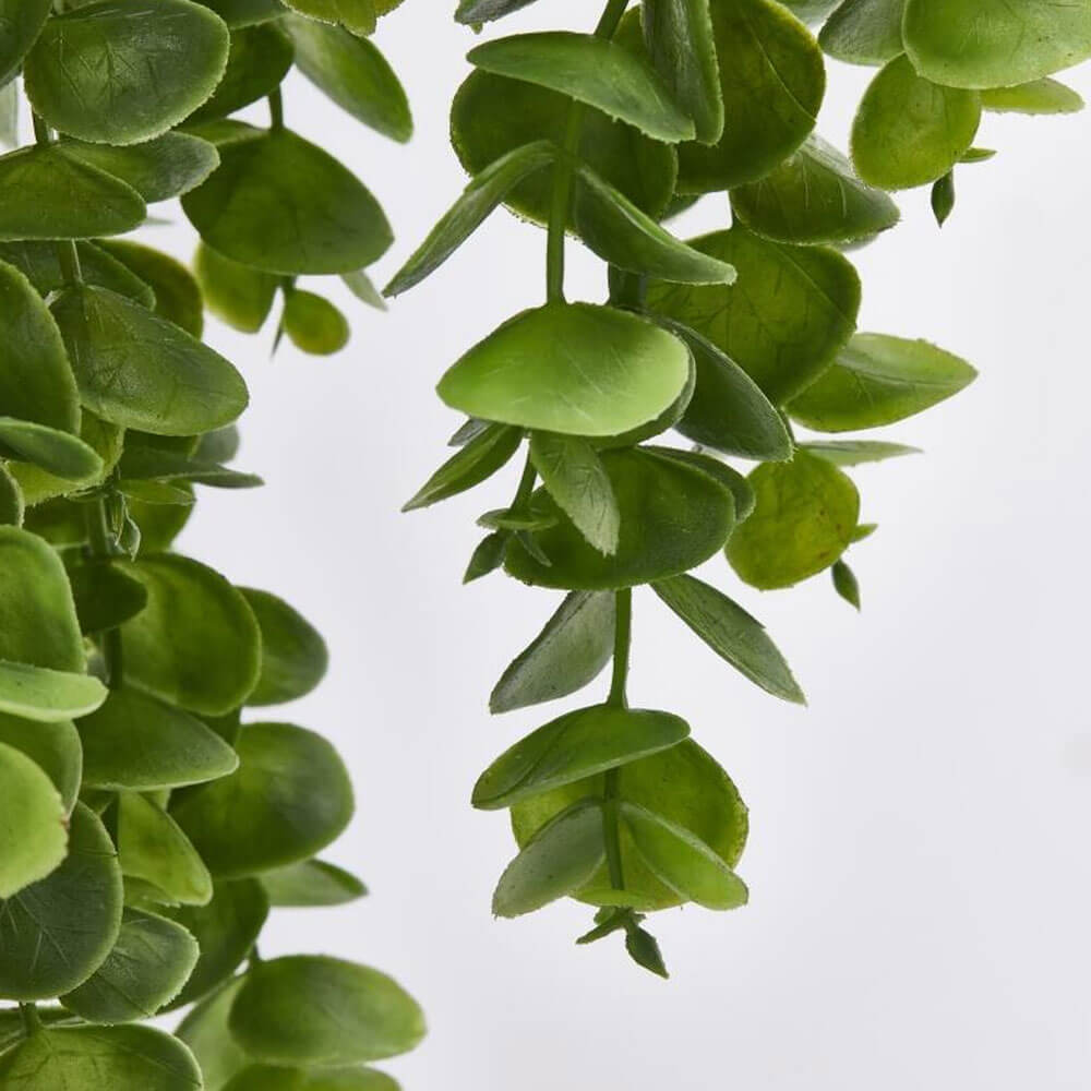 EDG Eucalipto Cadente Verde L 75 cm 3 EDG Eucalipto Cadente Verde L 75 cm - immagine 3