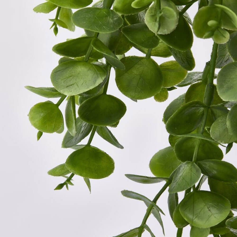 EDG Eucalipto Cadente Verde L 75 cm 4 EDG Eucalipto Cadente Verde L 75 cm - immagine 4