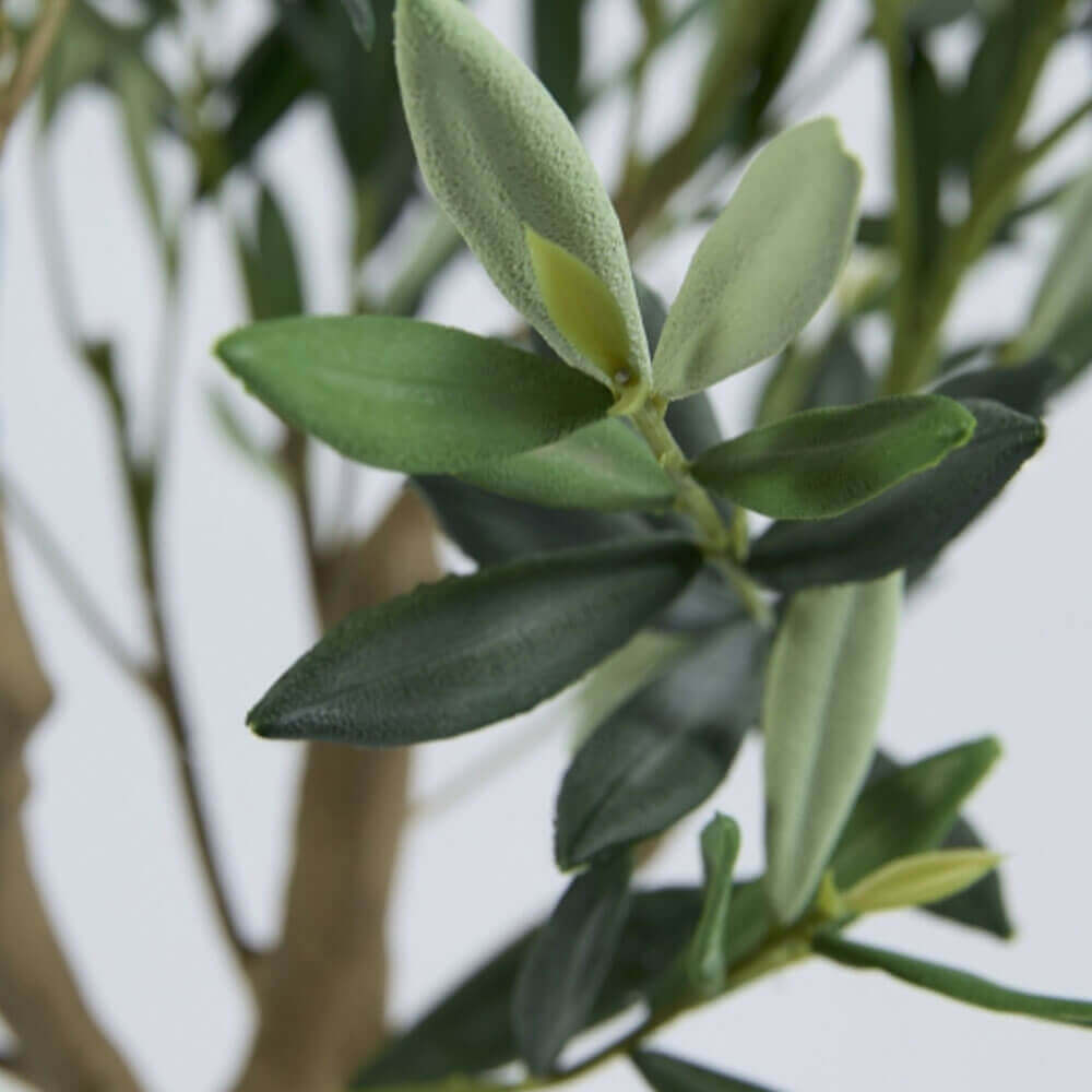 EDG Olivo Artificiale con Vaso H 93 cm Anti-UV 6 EDG Olivo Artificiale con Vaso H 93 cm Anti-UV - immagine 6