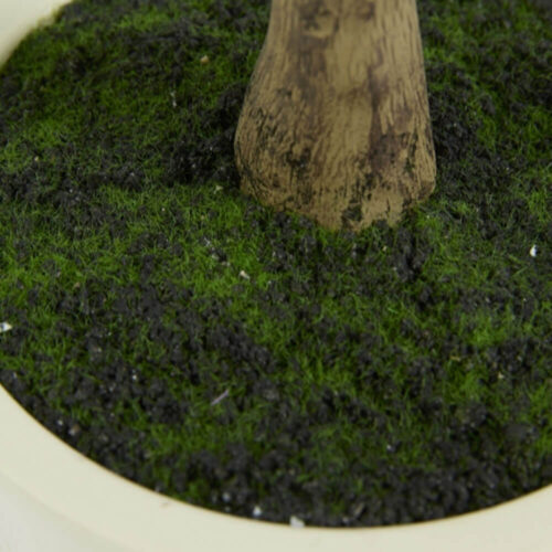 EDG Ficus Beniamino con maceta H 140 cm - Imagen 3