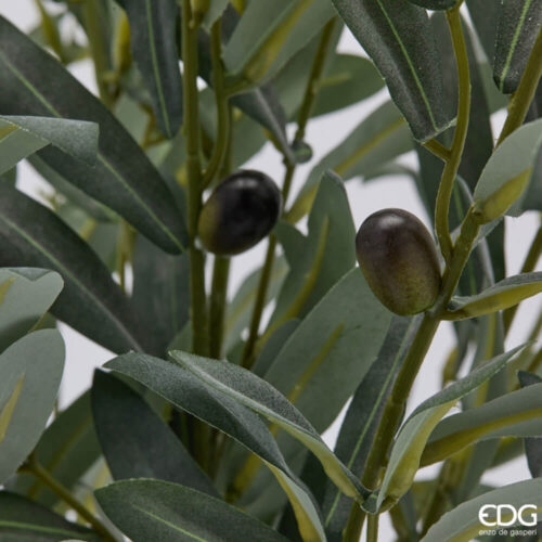 EDG Olivo con vaso H 65 cm 8 2300502A700 2