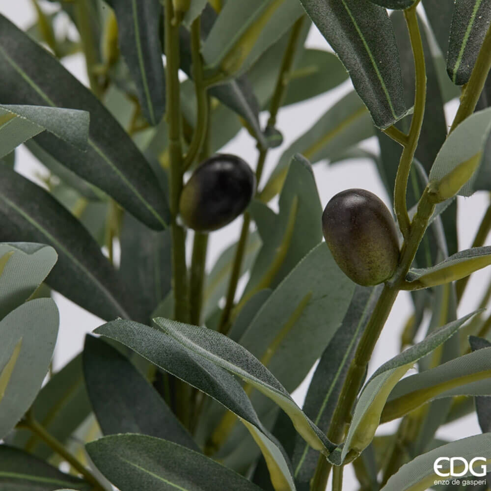 EDG Olivo con vaso H 65 cm 4 EDG Olivo con vaso H 65 cm - immagine 4
