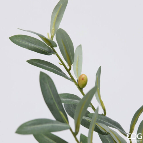 Alternative view of EDG Olivo con vaso H 65 cm